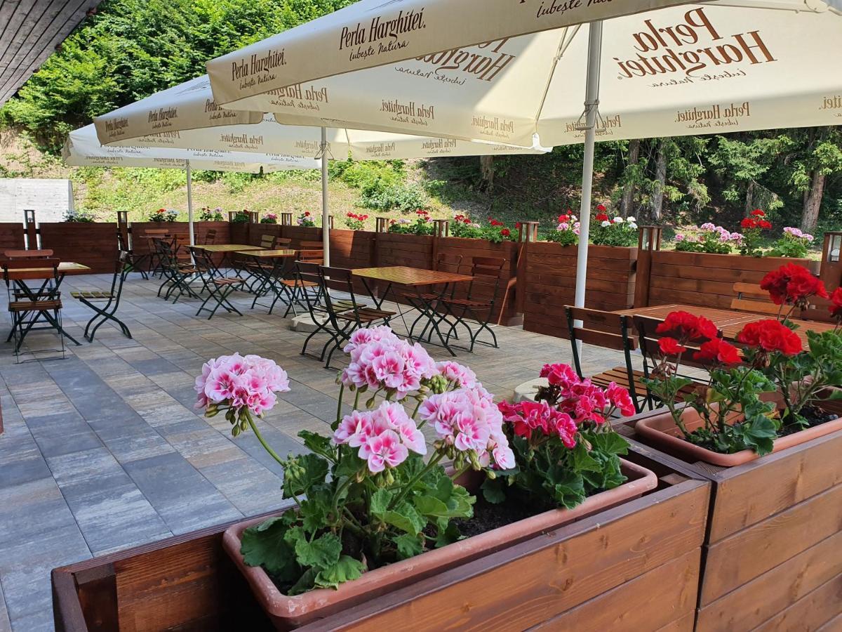 Monte Cervo Bio Hotel & Spa Ковасна Екстериор снимка
